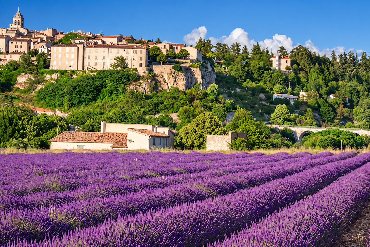 Village provençal entouré de champs de lavande