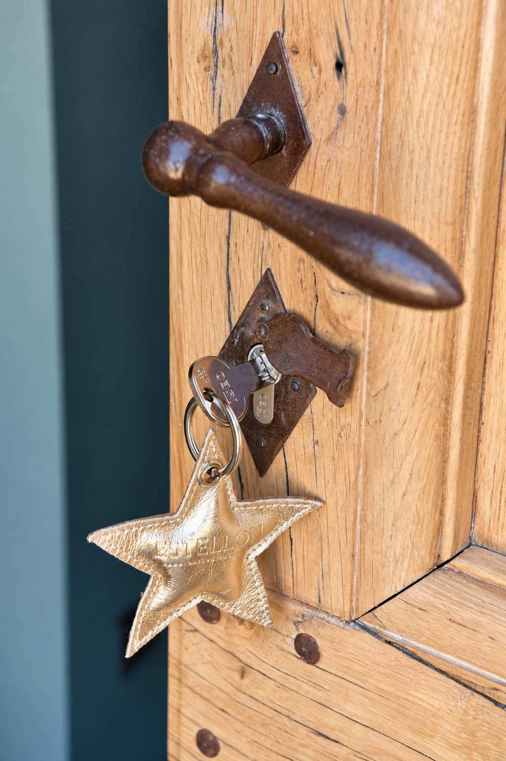 Villa Garrigue — photographie 16