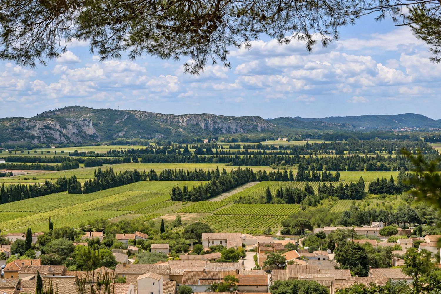 Vue sur Pujaut et les paysages du Gard